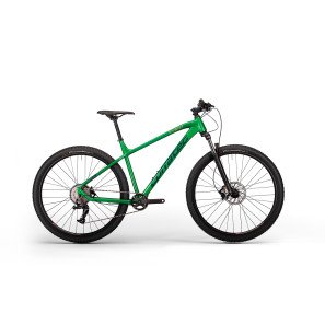 Corratec MTB 29" X Vert Elite Green-Blue