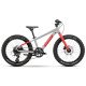 Raymon Yanga 20 Pro 2025 grey-red dviratis